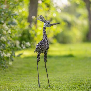 Kroonkraanvogel klein